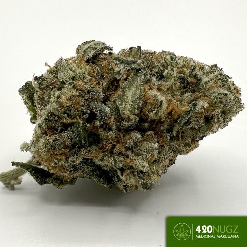 Sativa Archives - 420 Nugz