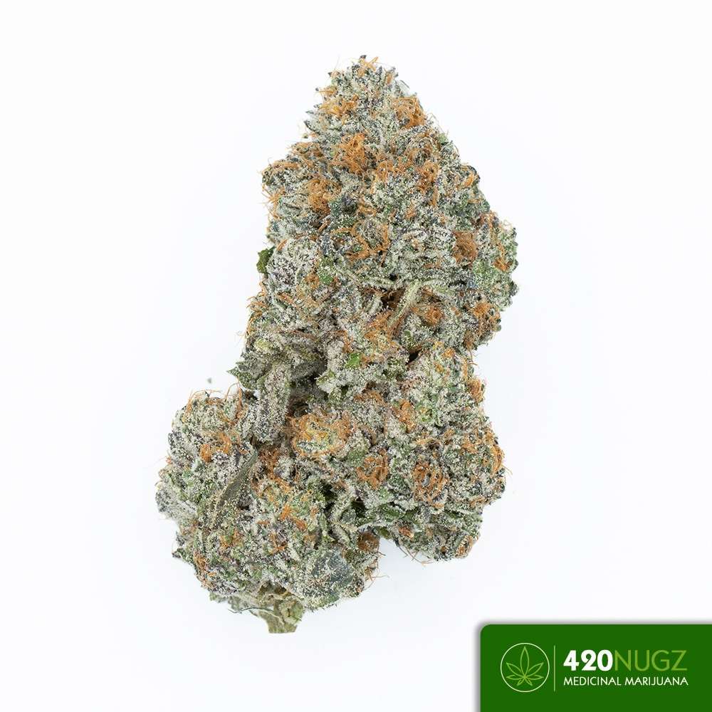 *PR* Jungle Cake by Big Boyz Exoticz