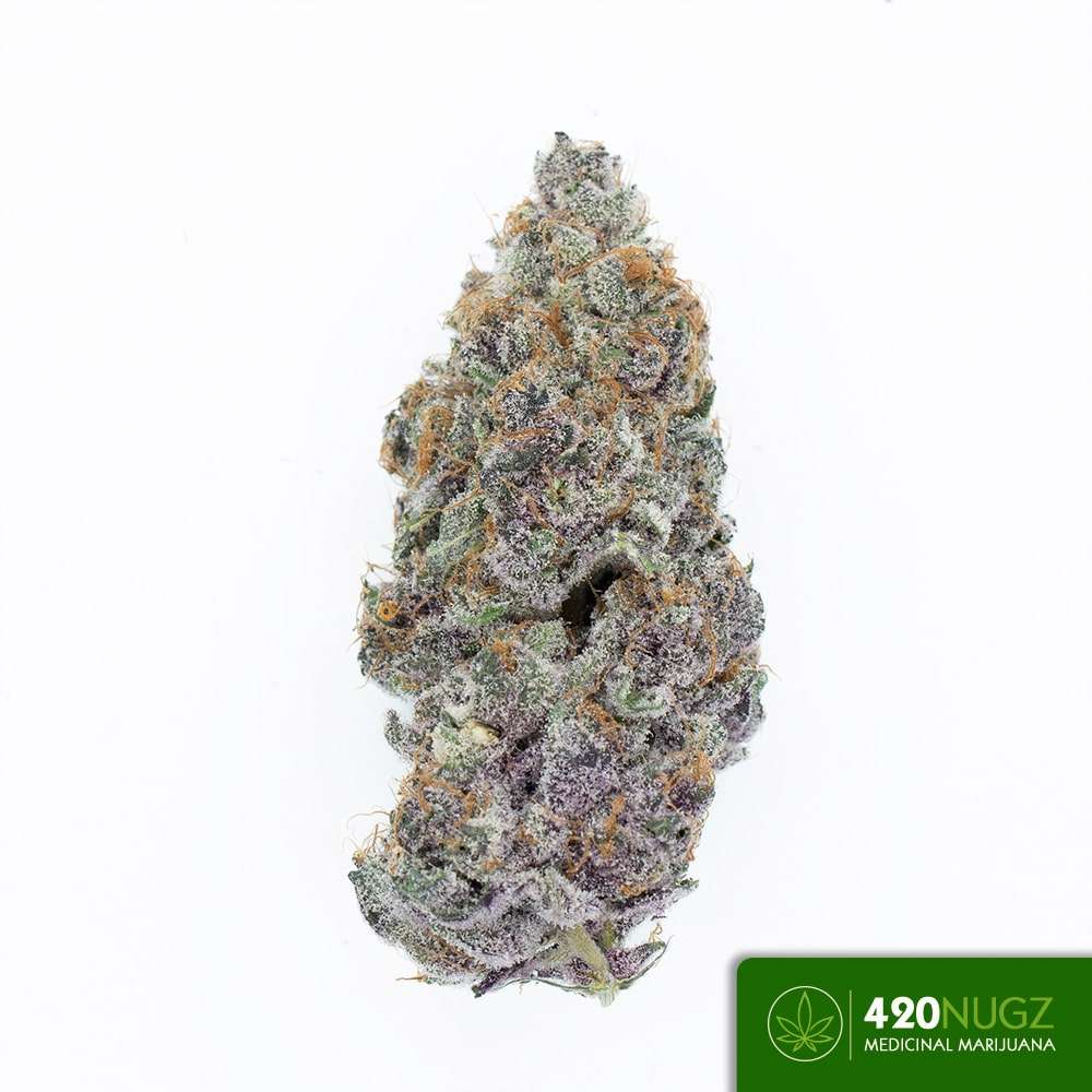 *PR* Tropicana Cherry from Harvest Haven Wholesale