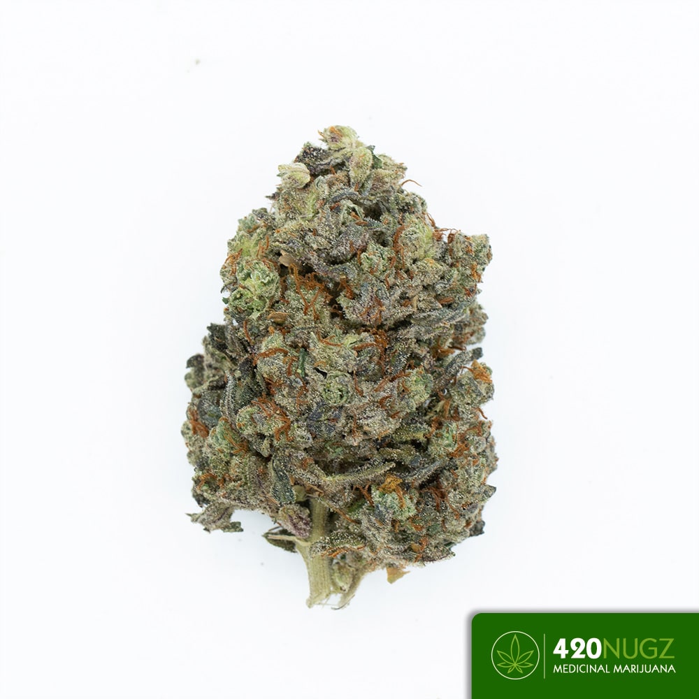 *PR* Gas 3 from LS Farms Wholesale